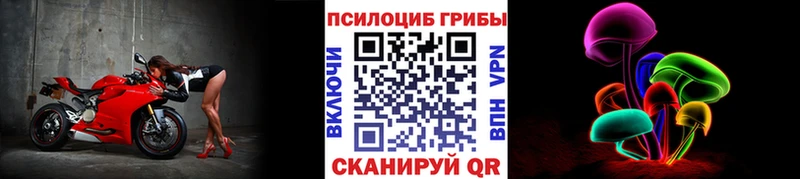 Псилоцибиновые грибы прущие грибы  mega ссылки  Родники 